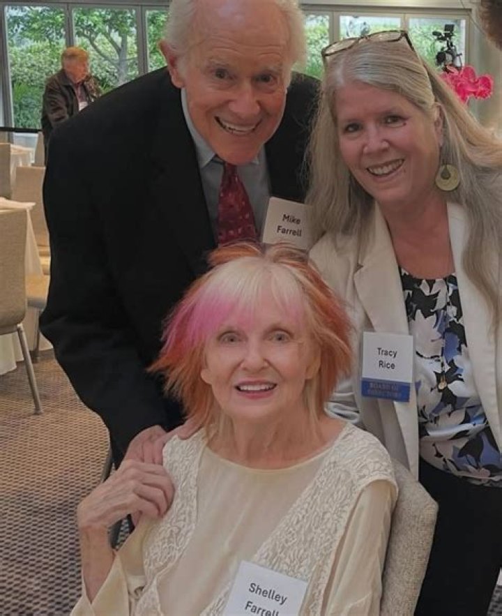 Shelley Fabares: Uncovering Her Present Endeavors